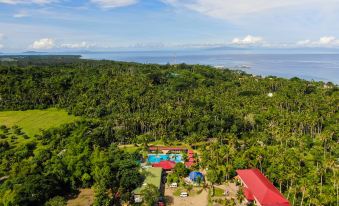 Freedom Eco Adventure Park powered by Cocotel