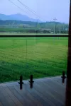 Tonglu Jingma Hotel - Dağ Manzaralı