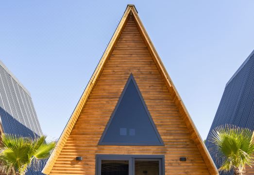 1. 아라즈 우든 컨..