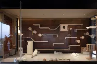 Acársa Resort Hotel - 피트니스 시설