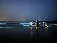 仟與仟尋客棧（趕海體驗點模鏡村藍眼淚觀景點店）