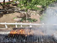 吐魯番知夏民宿 吐魯番住宿飯店