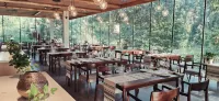 Tree Frog Resort Hotel