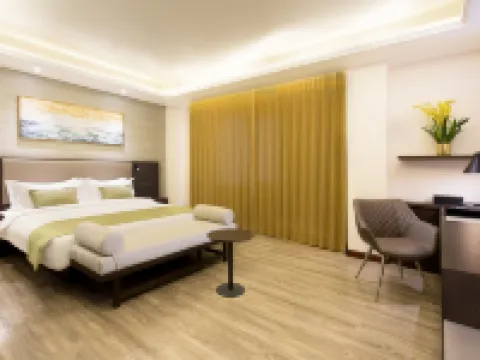 ザ マリソン ホテル レガスピのホテル