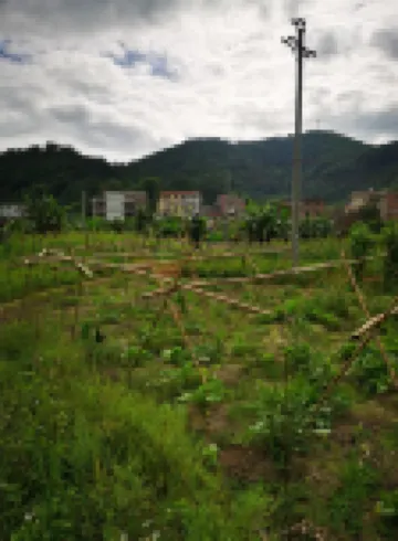 Gulou Homestay