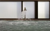 New World Langfang Hotel - Swimmingpools