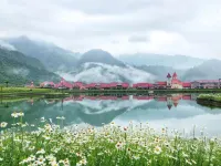 Scandina Resort Hotel Hotels in Dayi