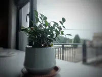 Shengsi Xinyue Homestay (Jihu Beach Branch) - Morgenmad