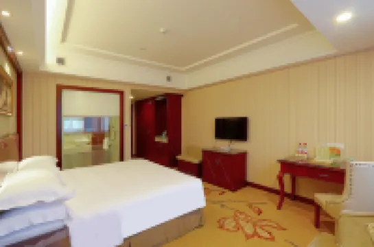 維優納インターナショナルホテル