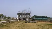 Haining Ruixiangyuan Homestay - bar