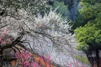 Suiyuan Homestay, Dongshenghou Mountain Village