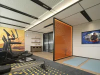 Hampton by Hilton Nanyang Jiangying Airport - Gym