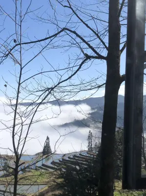 Yunjia Hani Homestay