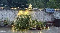 Maiji Mountain Qingya Xiaozhu Homestay (Maiji Mountain Scenic Area) - Pet friendly