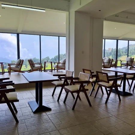 Rice Field Ideal | Blue Terraced Fields Panoramic View Homestay