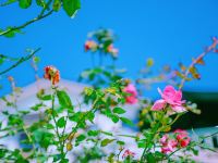 苏州太湖花床民宿 - 玫瑰居全湖景大床房