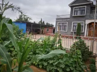 Jingbian Qishan Biyuan Homestay