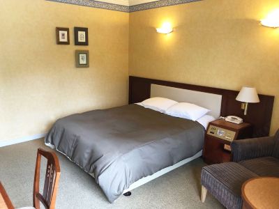 ガーデンウィングダブル (禁煙) アートホテル成田の写真