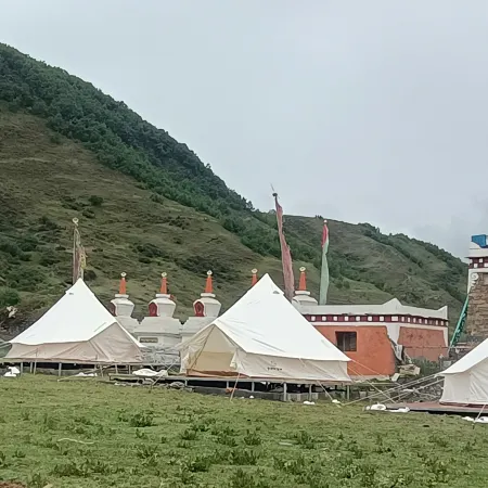 Daoqi Magic Stone Star Camp (Moshi Park Branch)