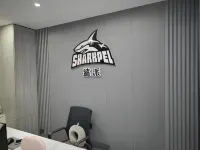 Shapai Homestay (Meihekou Northeast Nightless City Hailong Lake)