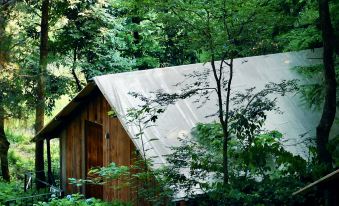 Duck Farm · The Lodge In Woods