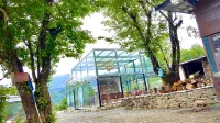 枕山聽雲湯墅民宿