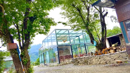 Zhenshan Tingyun Tangshu Homestay Отели рядом с достопримечательностью «Shenmulei»