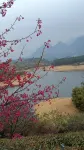 Jinrun Hotel - balkon