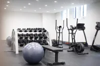 Nalati Lisi Platinum Hotel - Gym