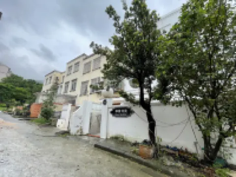 Conghua Lemon Bieyuan