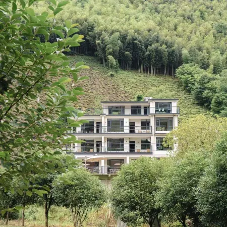 Shengyi Luxury Villas