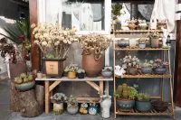 Liupanshui Yanxianju · Song's Tea-themed Stay - Kitchen