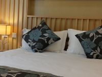 上海极乐汤川沙温泉酒店 - 高级大床房