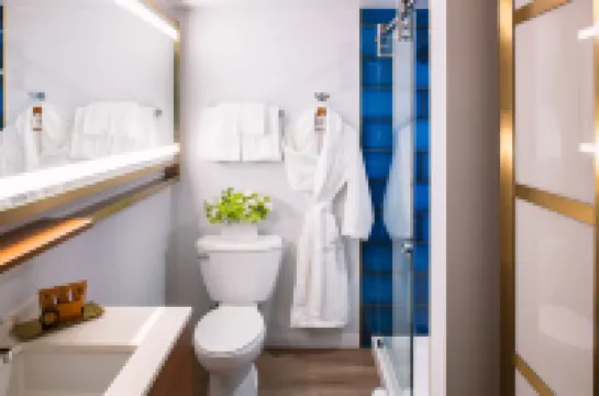 เลอ เมอริเดียน เอสเซ็กซ์ ชิคาโก โรงแรมใกล้แกรนท์ พาร์ค