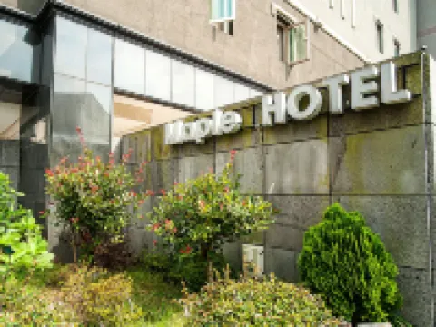 Hotel Maple Hotels in Jeju