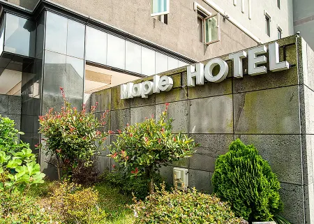 Hotel Maple