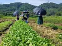 广州探云田居民宿 - 酒店附近