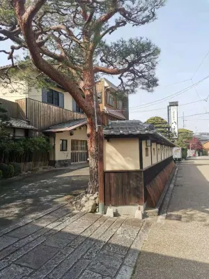 Kappo and Ryokan Yachiyo Hotels in Мацусака
