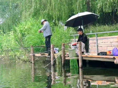 Baiyangdian Inn Отели рядом с достопримечательностью «Lotus Grand View Garden»