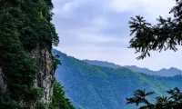 景寧雲逸民宿 - 山景