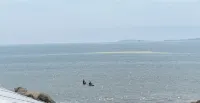내러티브 OC - 워터파크