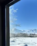 wonder house
