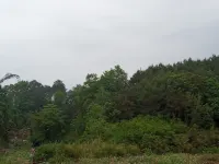 Qinglan Xiangshe Homestay - Mountain view