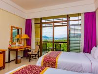 三亚亚龙湾红树林度假酒店 - 豪华海景双床房