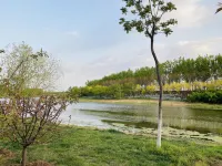 Holiday Inn TIANJIN WUQING by IHG - Airport Shuttle