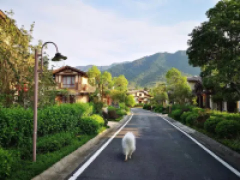 Fogang Country Garden Xinyou Hot Spring Villa