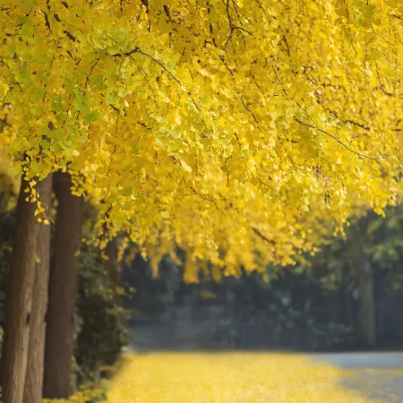 Grand Mercure Xian Renmin Square