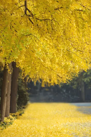 Grand Mercure Xian Renmin Square