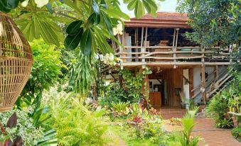 a wooden house surrounded by lush greenery , including trees and bushes , with a car parked in front of it at Tara Lodge Haven of Peace