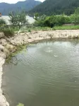 橫道河子東山大營民宿